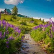 Safe Journey Tour And Travel (14)