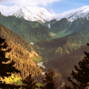 Safe Journey Tour And Travel (16)