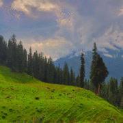 Safe Journey Tour And Travel (7)