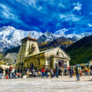 Untitled design (40)